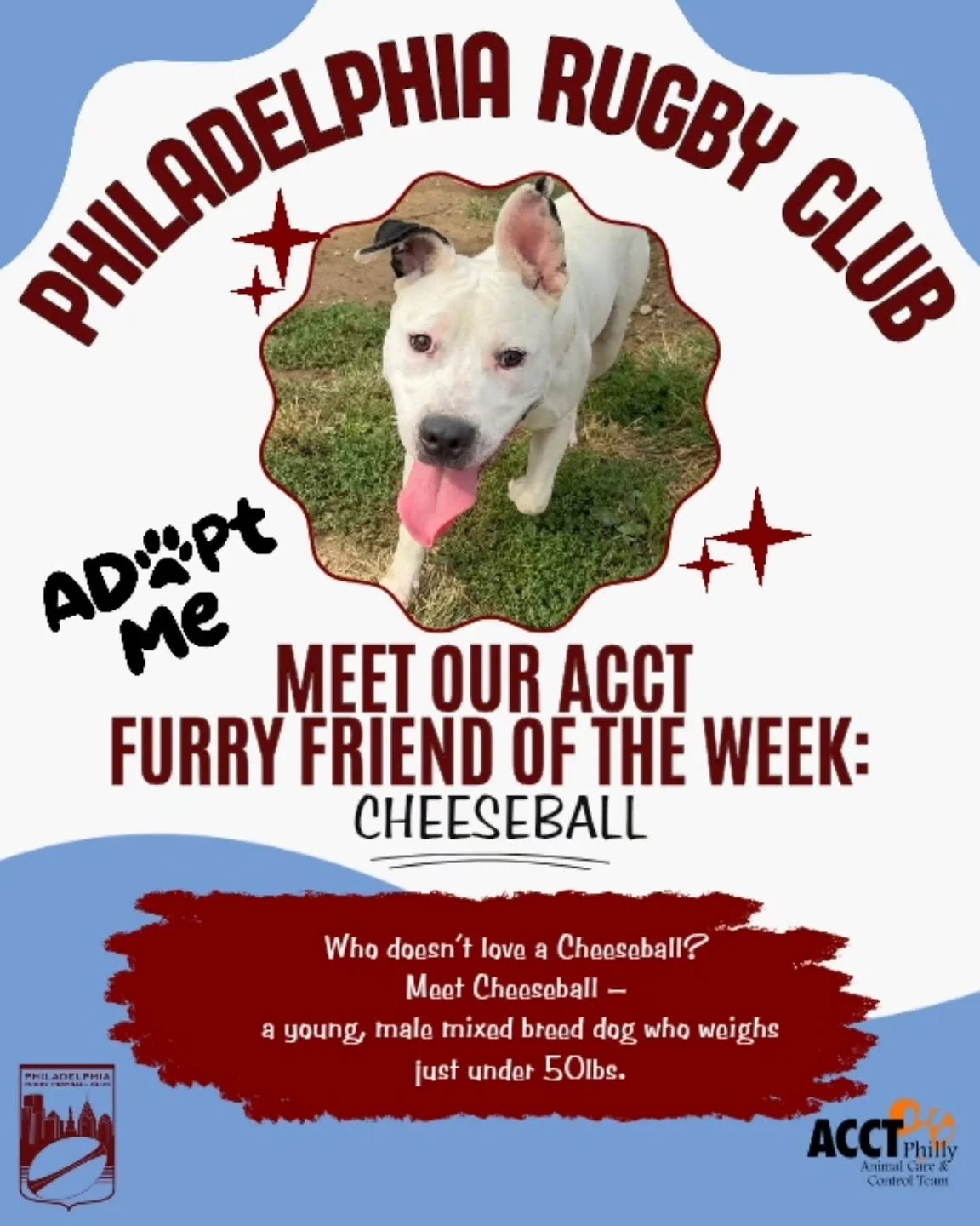 Welcome to our first ACCT pet of the week!

Who doesn&rsquo;t love a Cheeseball? Meet Cheeseball &ndash; a young, male mixed breed dog who weighs just under 50lbs.

Cheeseball was found abandoned outside of a building. He was a little nervous after b