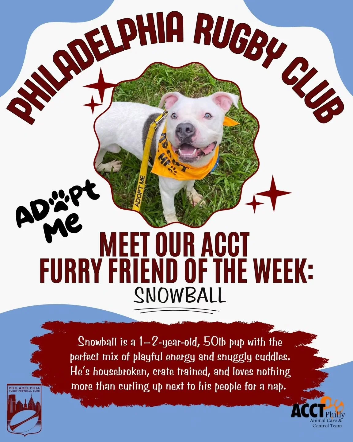 ✨🐾 ADOPT&nbsp;SNOWBALL! 🐾✨

This cuddly, sweet boy is ready to find his furever home and family!

Snowball&nbsp;is a 1&ndash;2-year-old, 50lb pup with the perfect mix of playful energy and snuggly cuddles. He&rsquo;s housebroken, crate trained, and