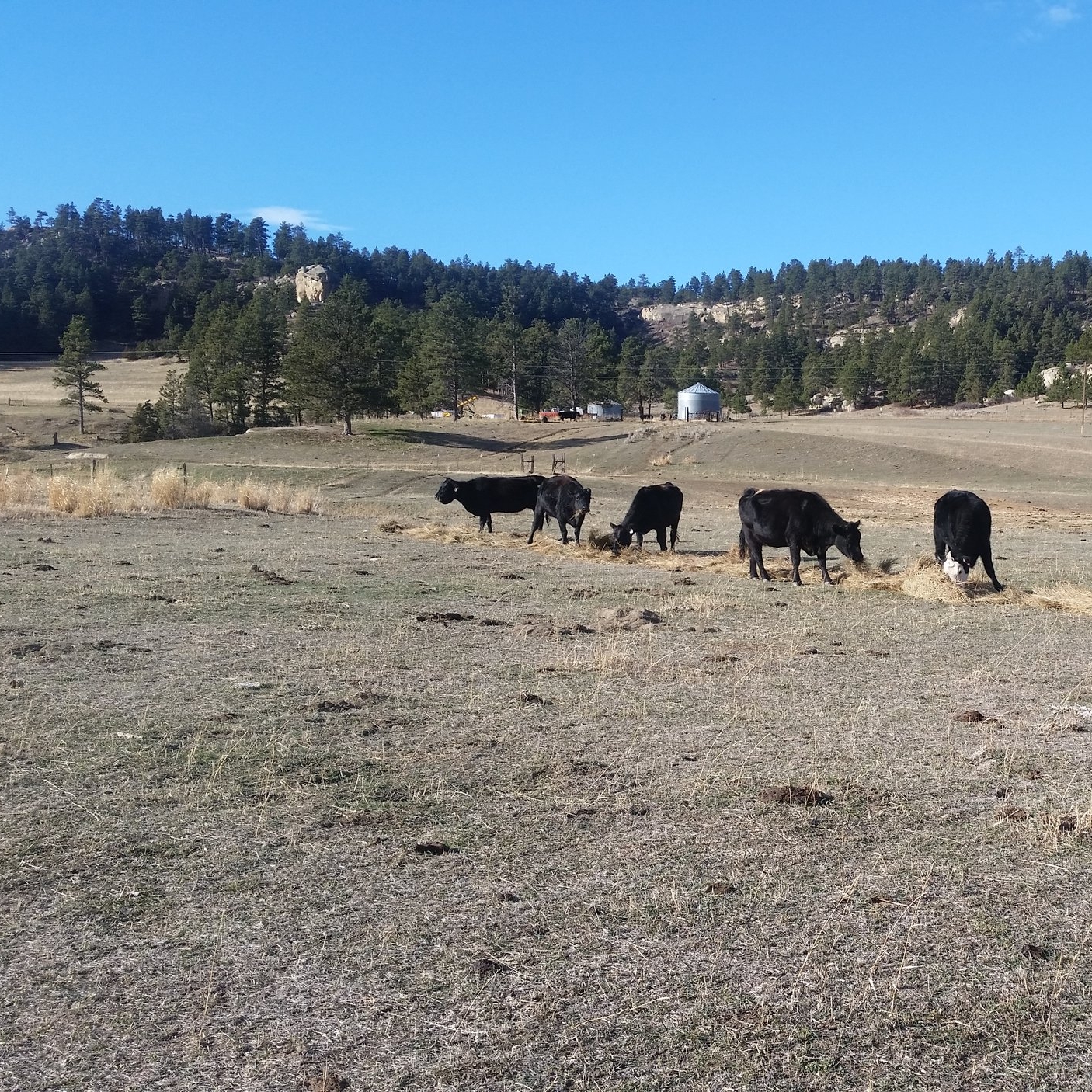 Beautiful Day in the Bull Mountains