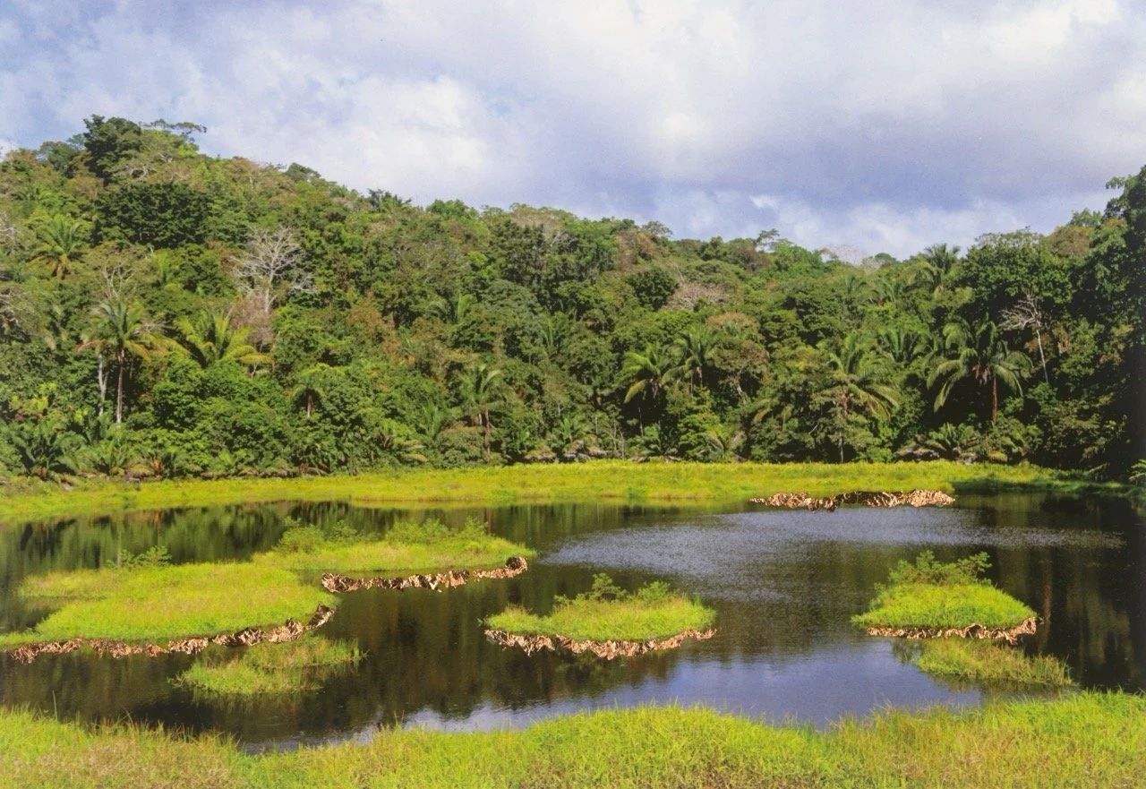 Groß (S02_MFS_Scheuermann_400_LR).jpeg