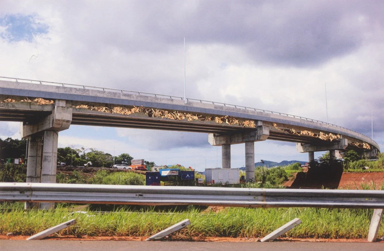 Groß (S08_MFS_Scheuermann_400_LR).jpeg