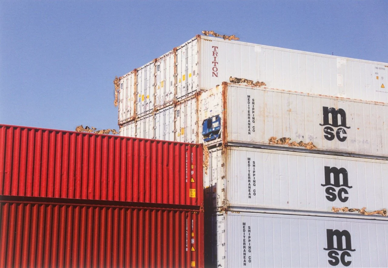 Groß (S12_MFS_Scheuermann_400_LR).jpeg