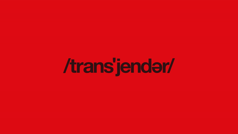 trans-definition.gif