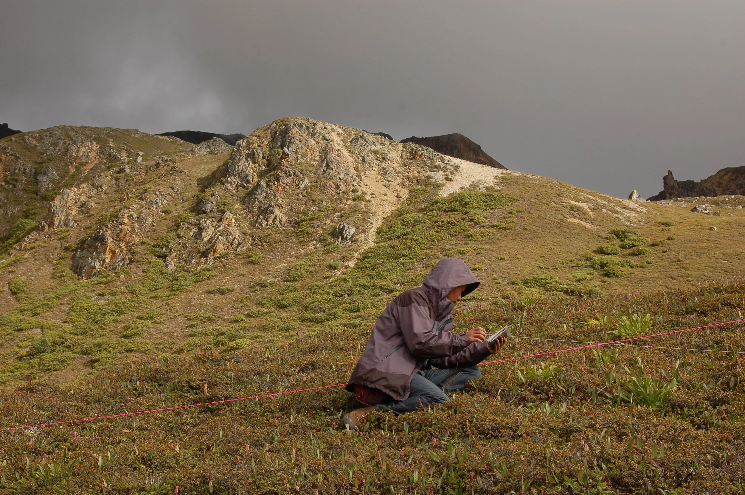  relocating plots from the photographs 