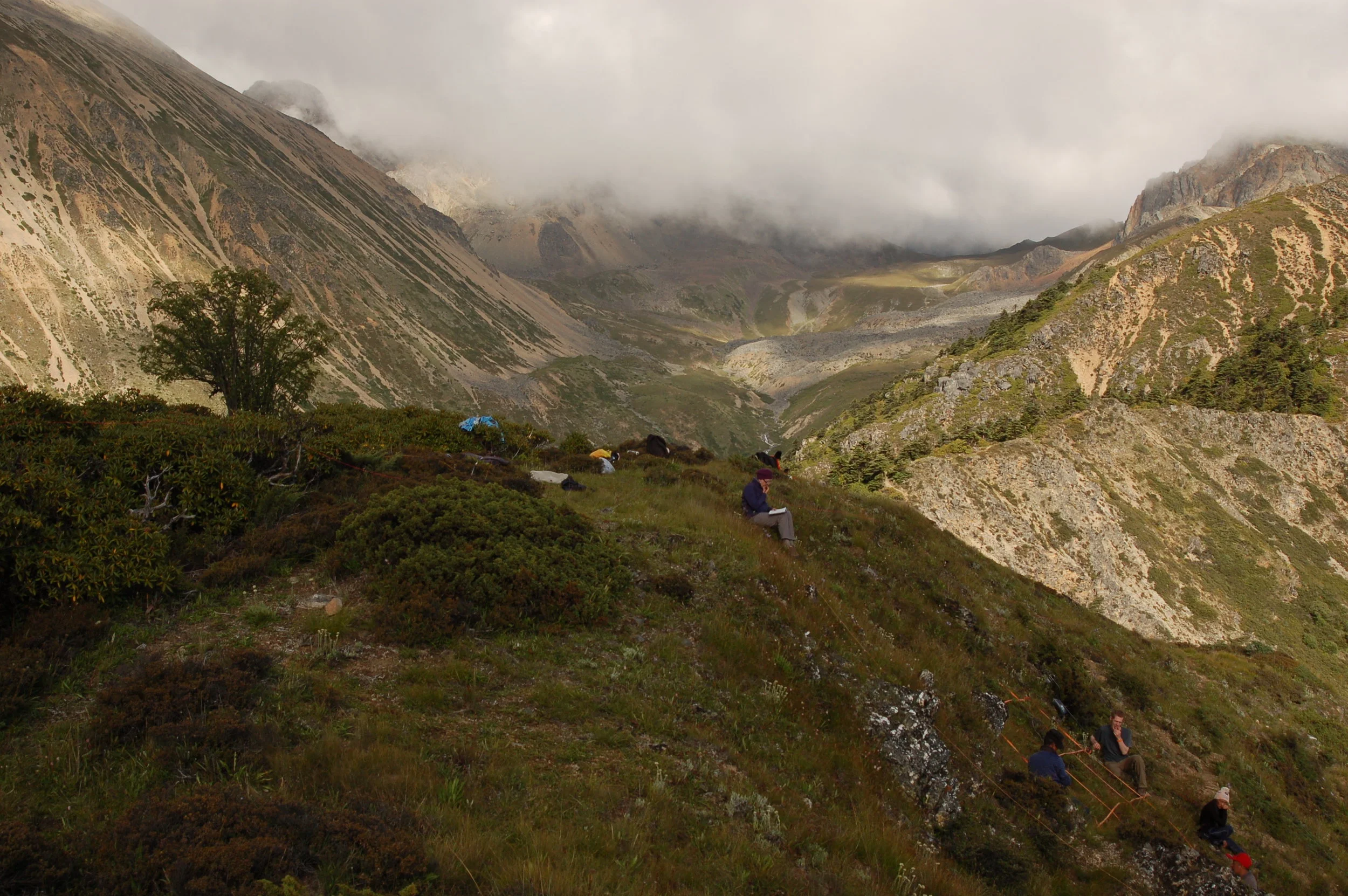  the lowest summit - treeline/shrubline 