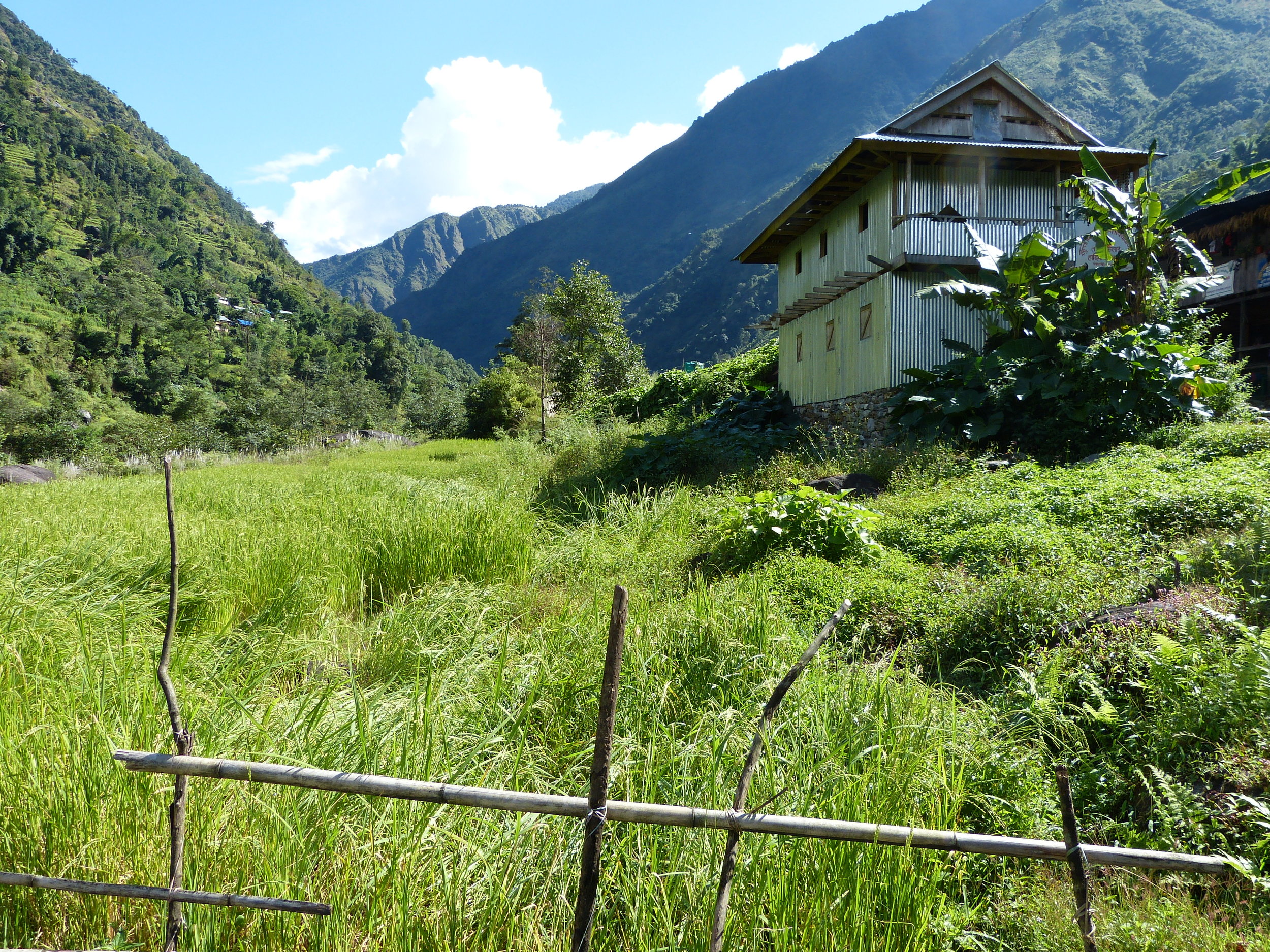  Higher up, rice and millet fields predominate. 