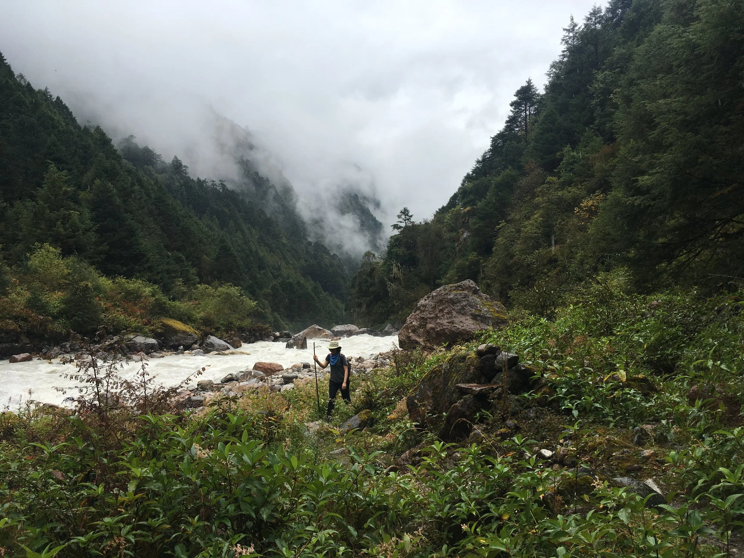  climbing into more temperate vegetation around 3000 meters elevation 