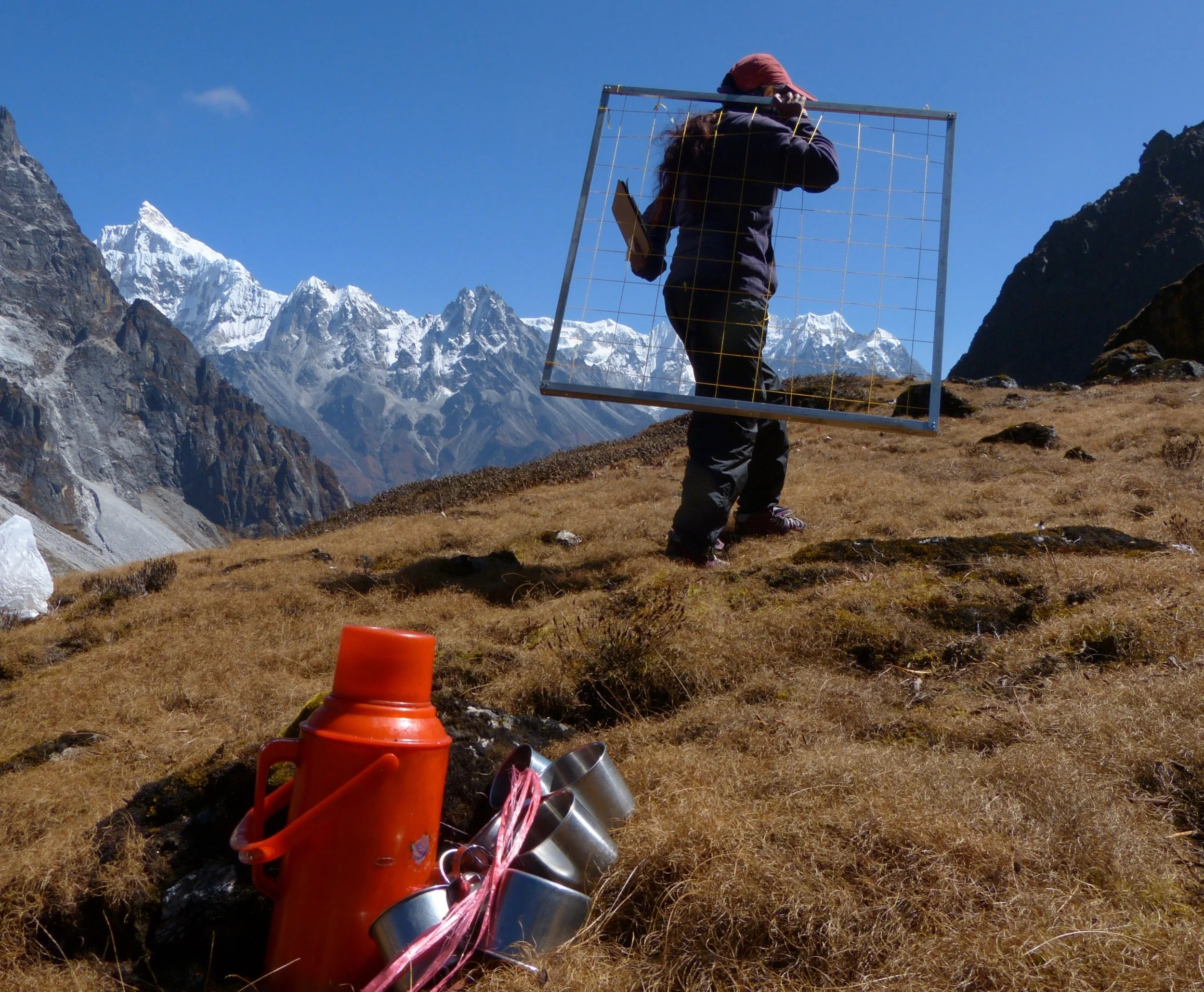  tea to keep us going at the summit sites 