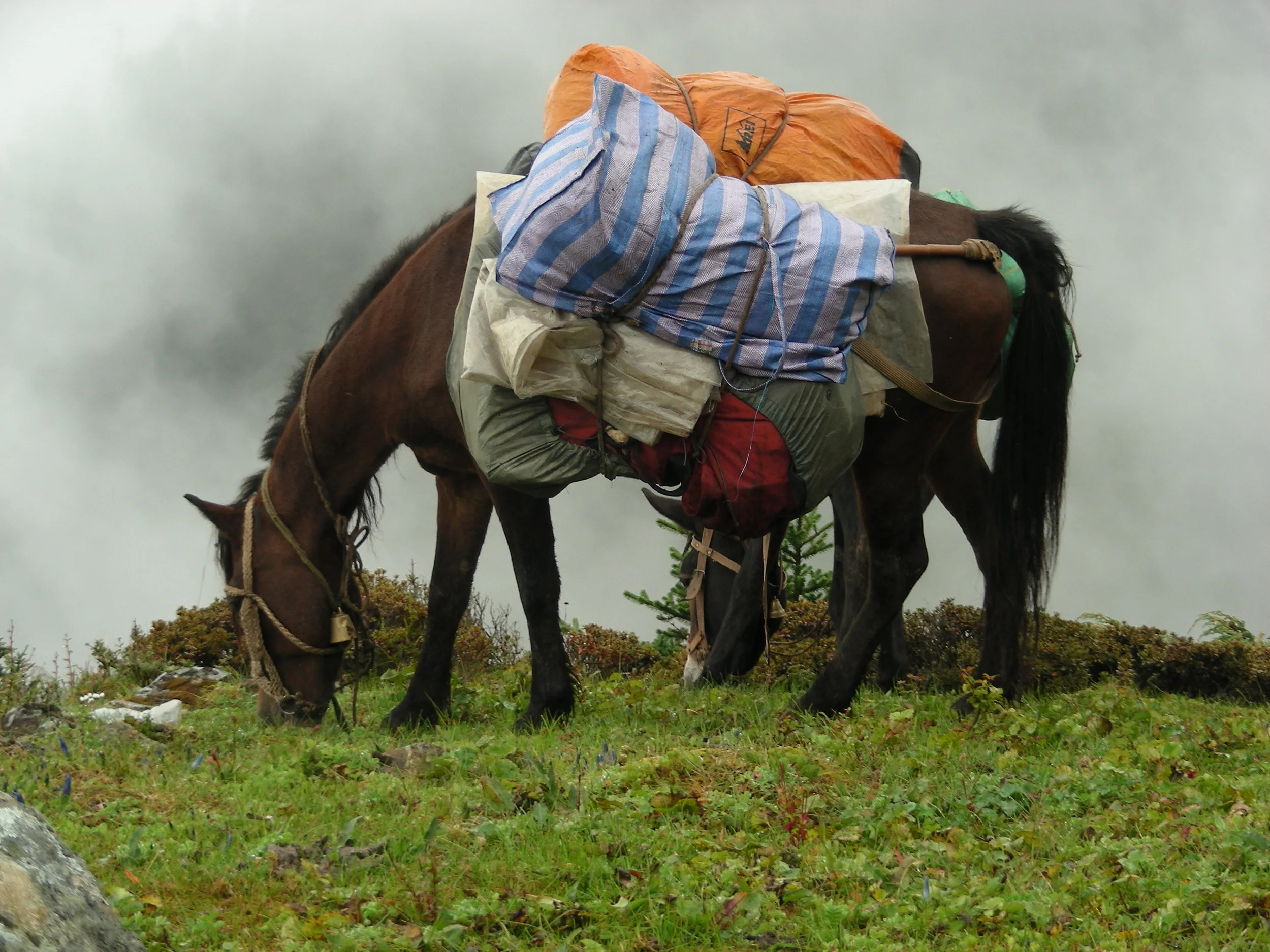  rain covers essential 