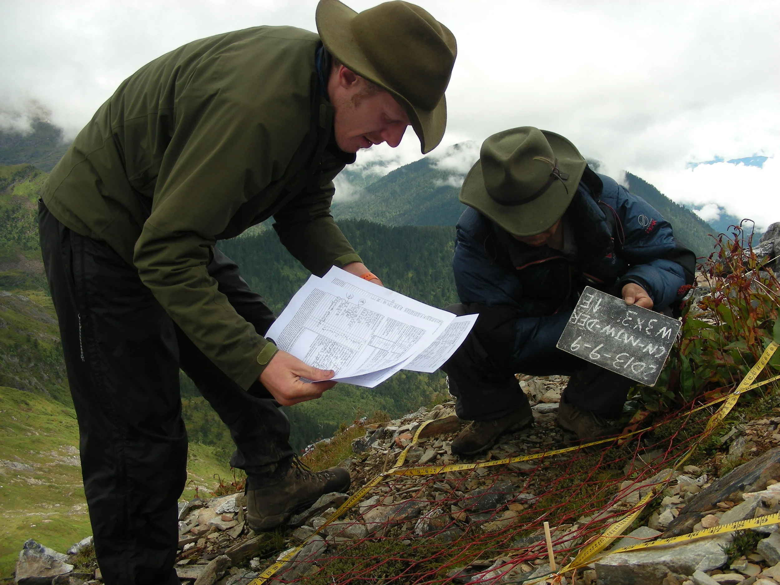  working with Fang Zhendong on the species list 