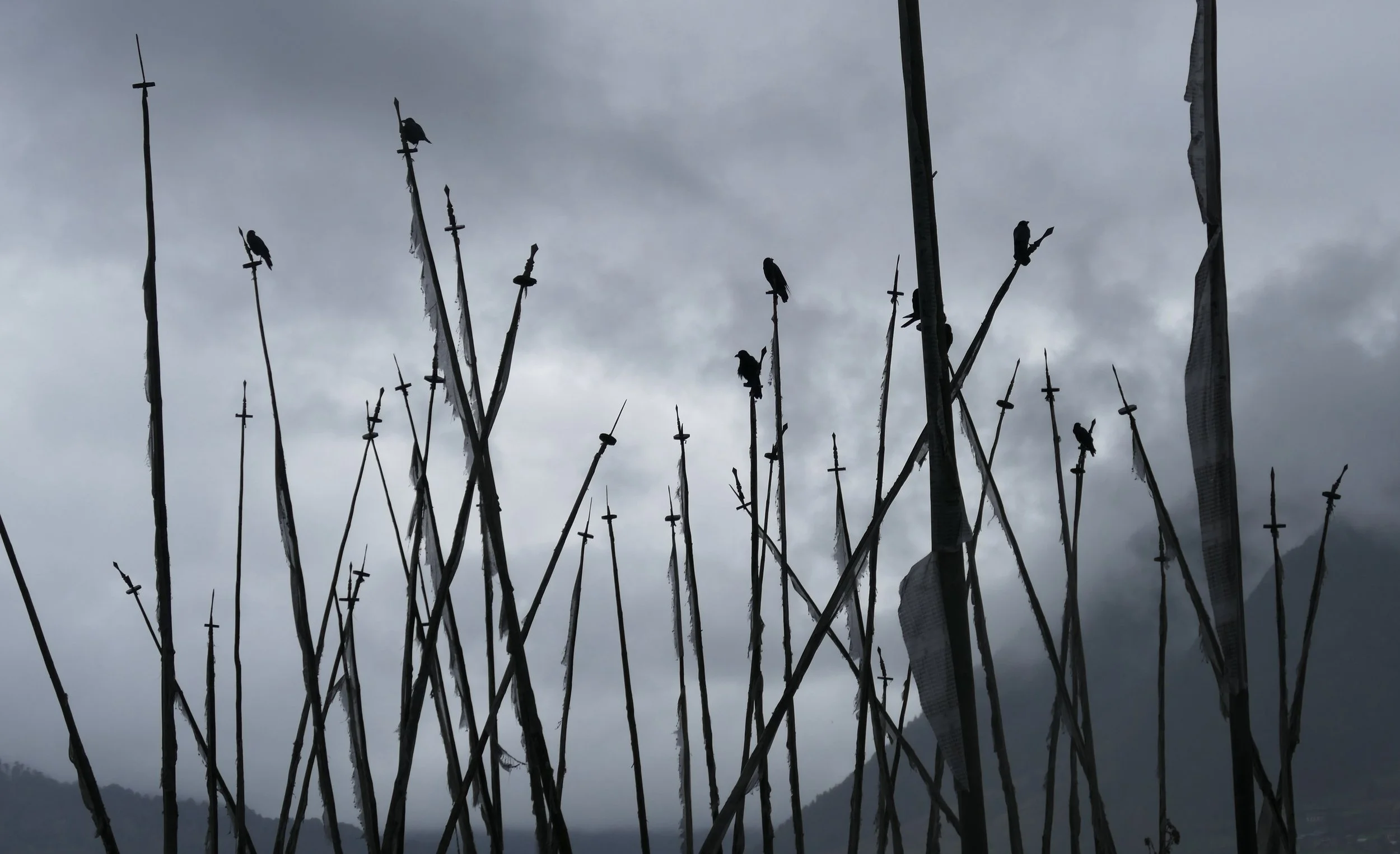 Bhutan raven kingdom.JPG