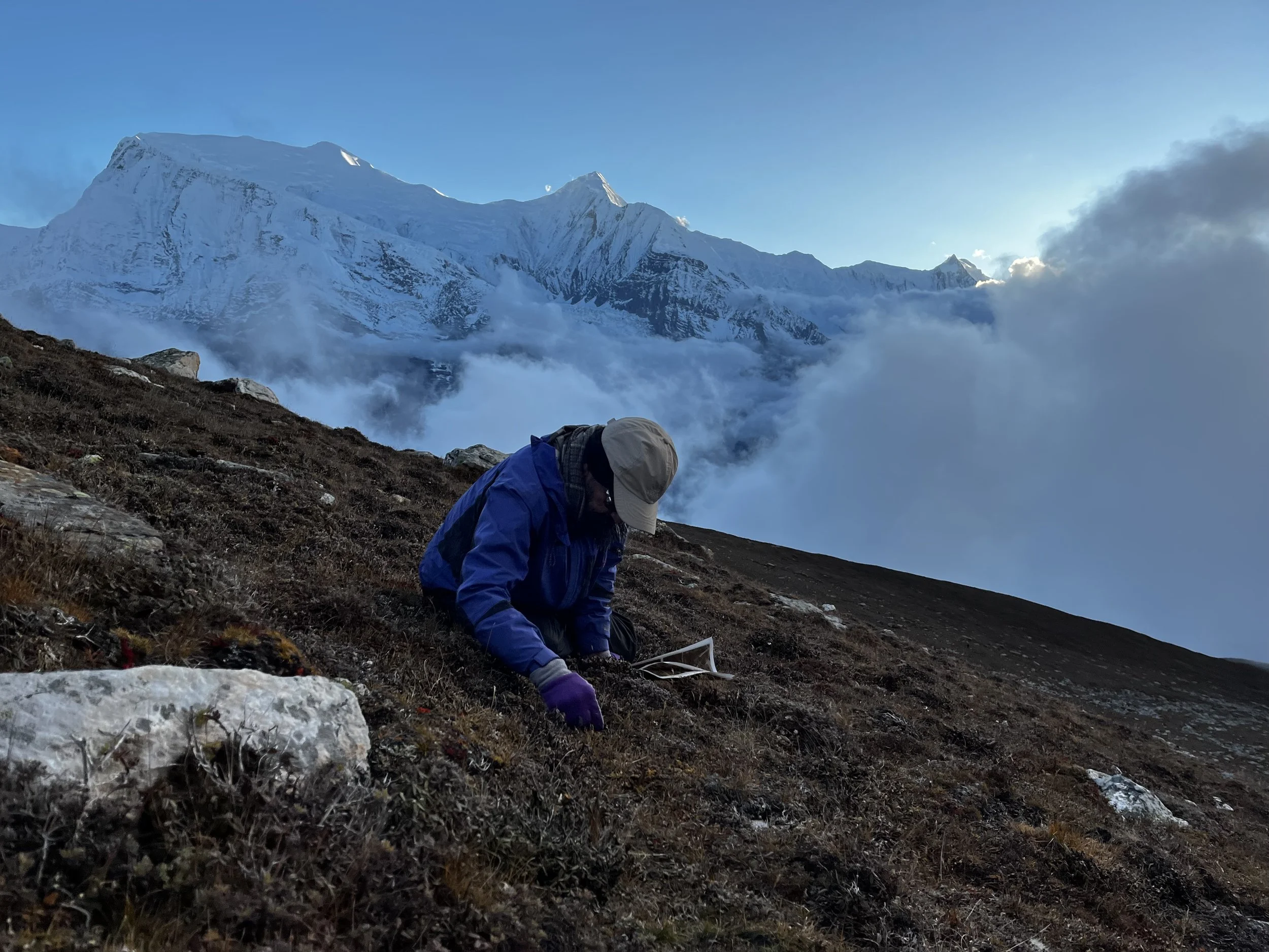 Suresh refinding site.jpeg