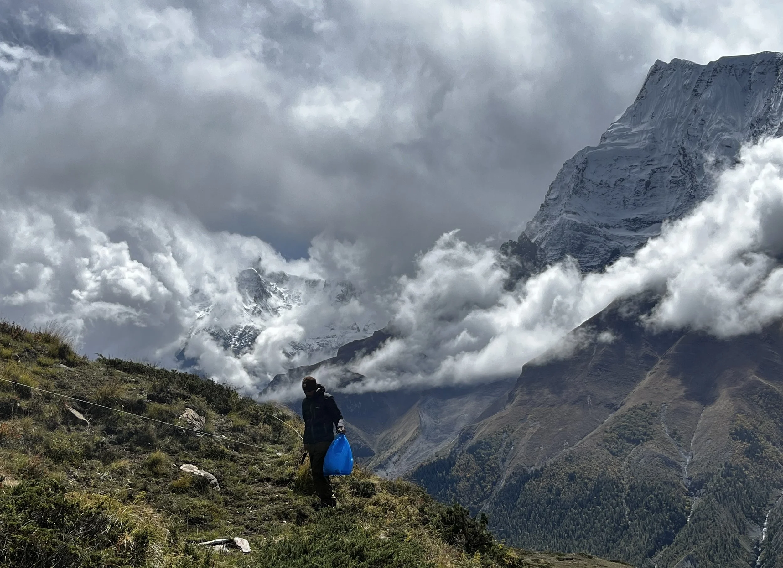 Nepal collecting plants.jpeg