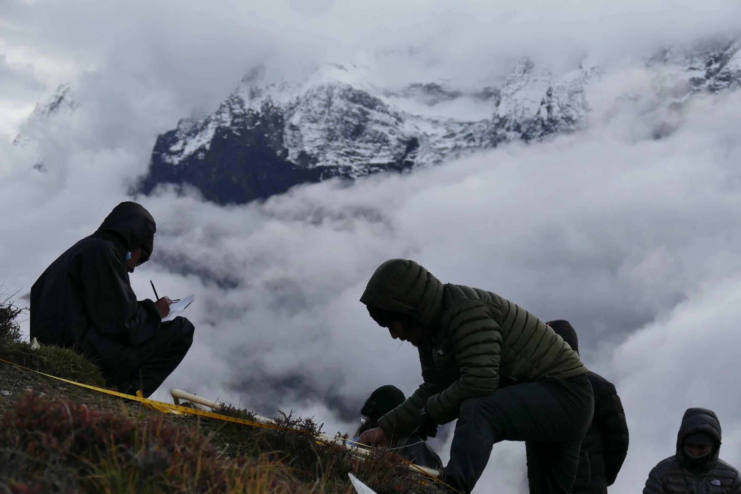 Nepal grad student Ashish Dhami counting plants.JPG