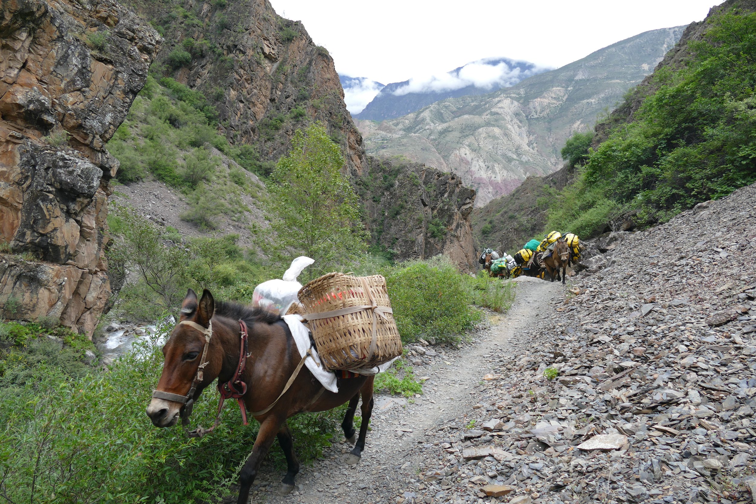 China - 2024 - 12.jpeg