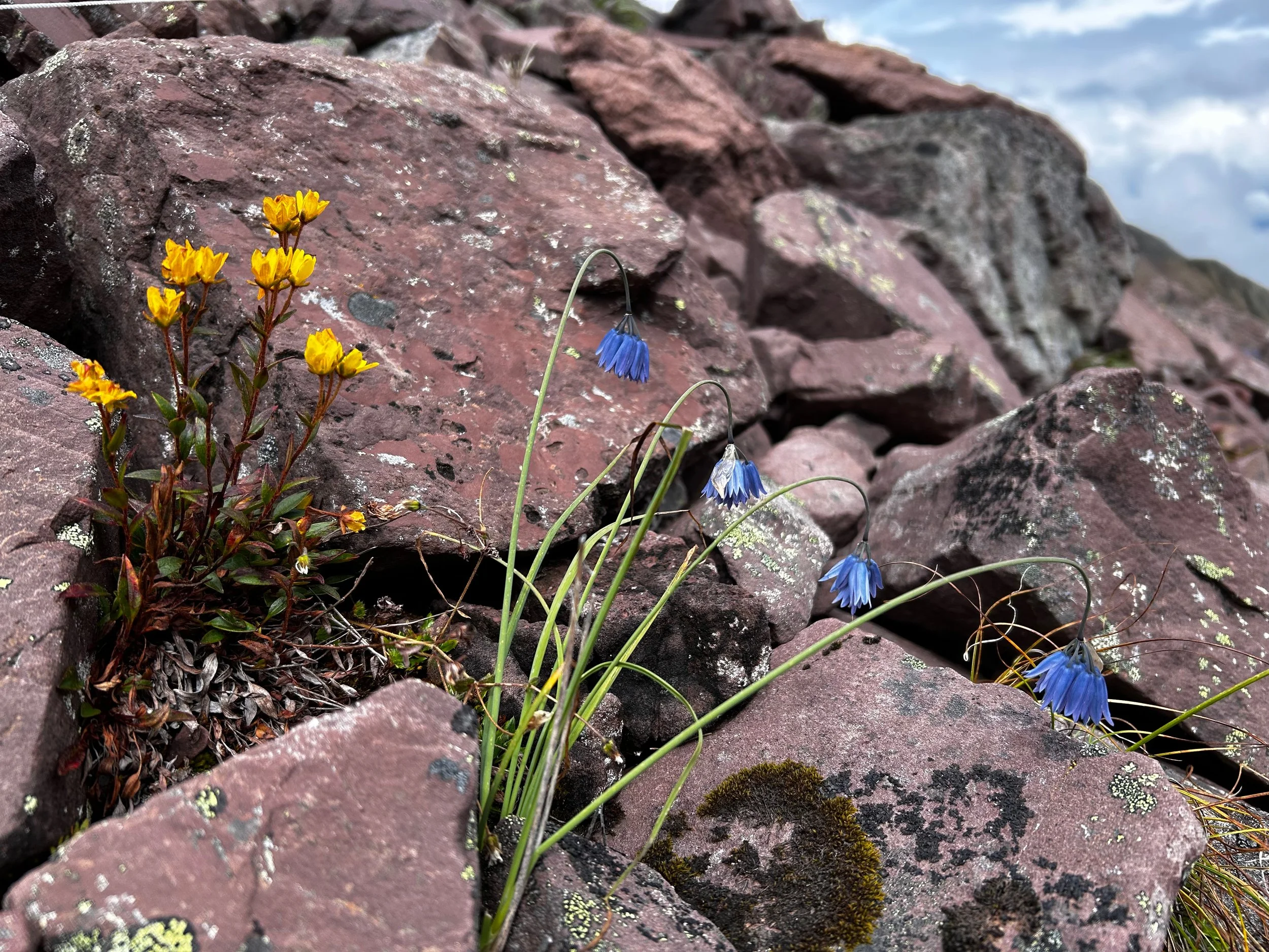 China - 2024 - 54.jpeg