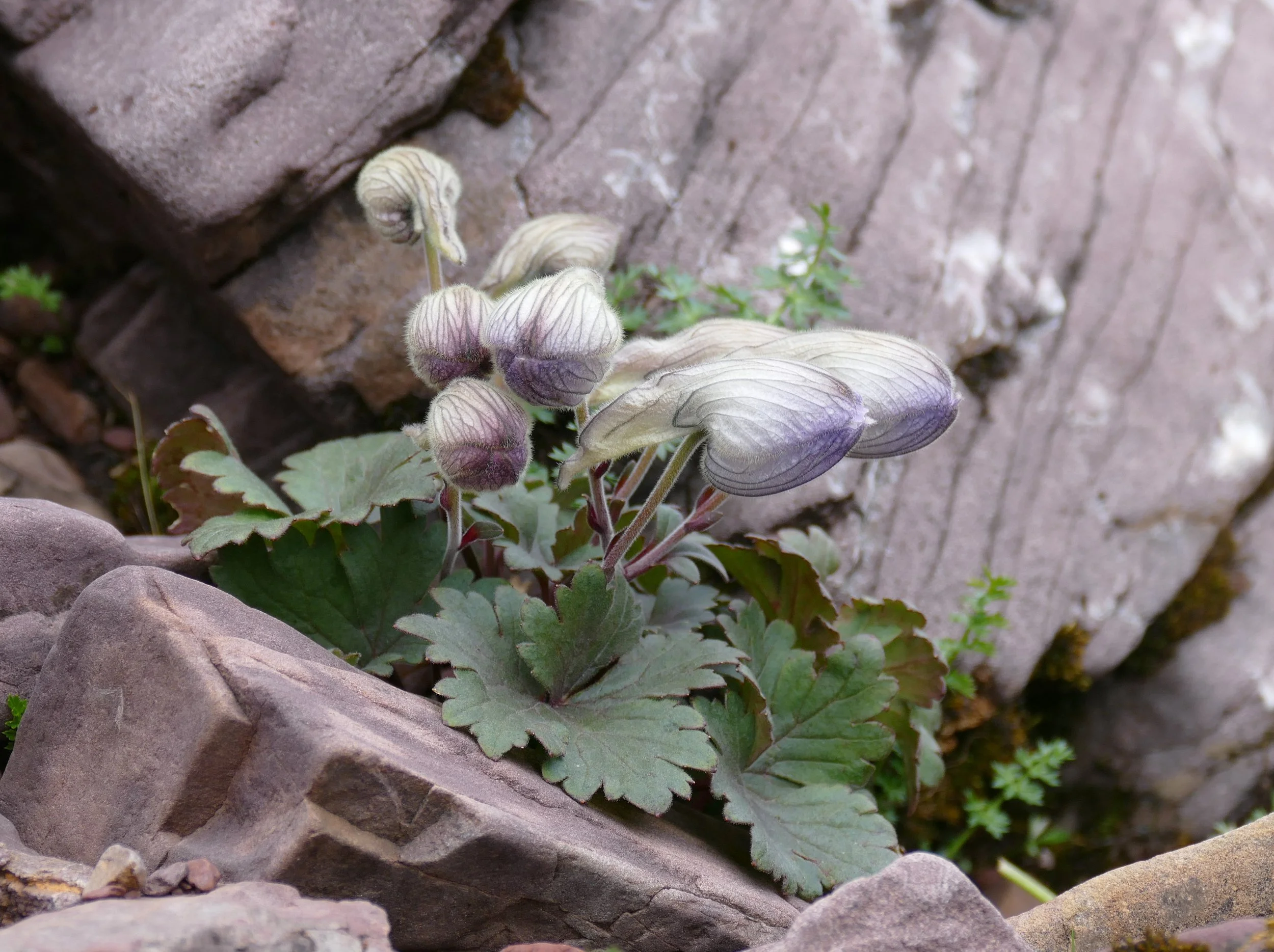 China - 2024 - 66.jpeg