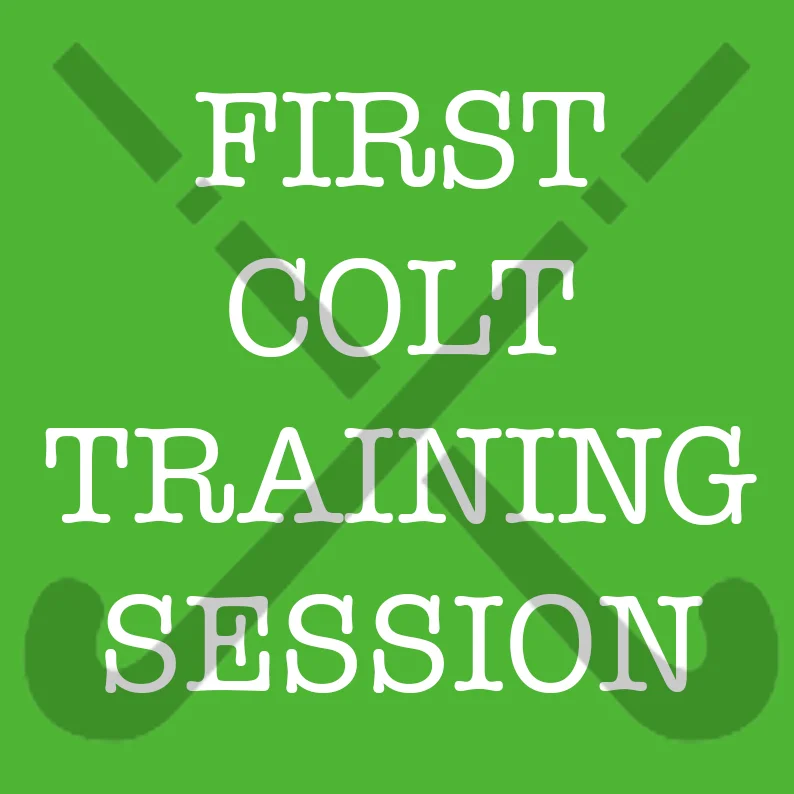 First Colt Training Session