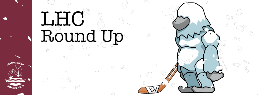LHC Round Up Banner Blizzard.png