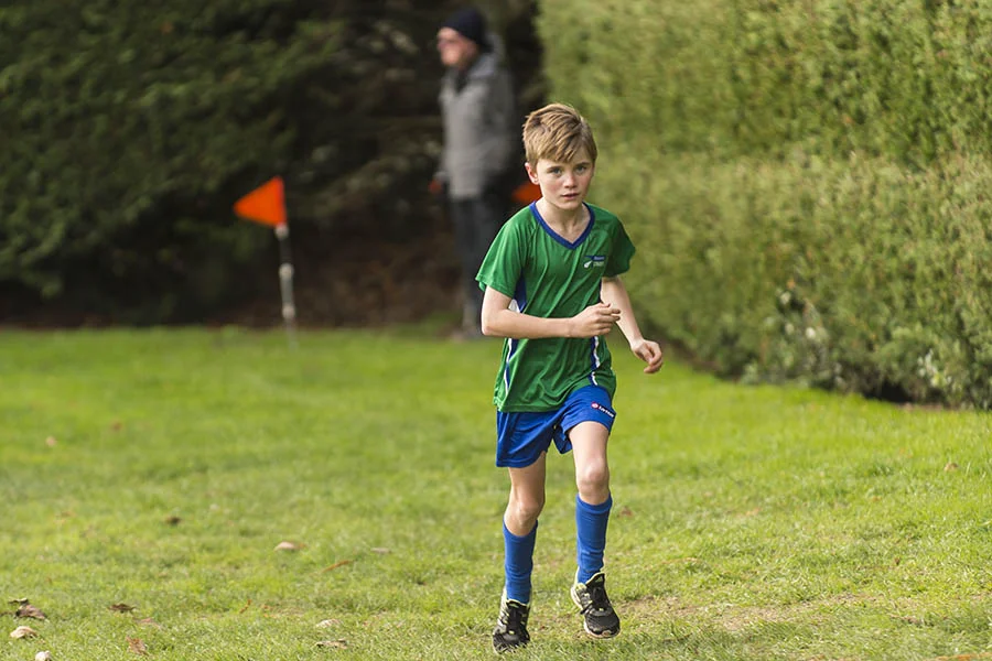 striders_7851.jpg
