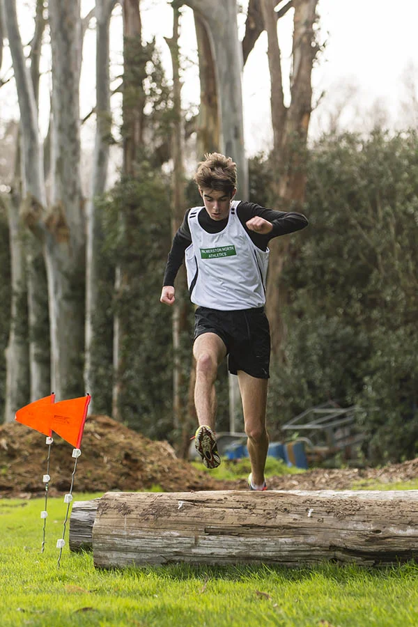striders_7921.jpg