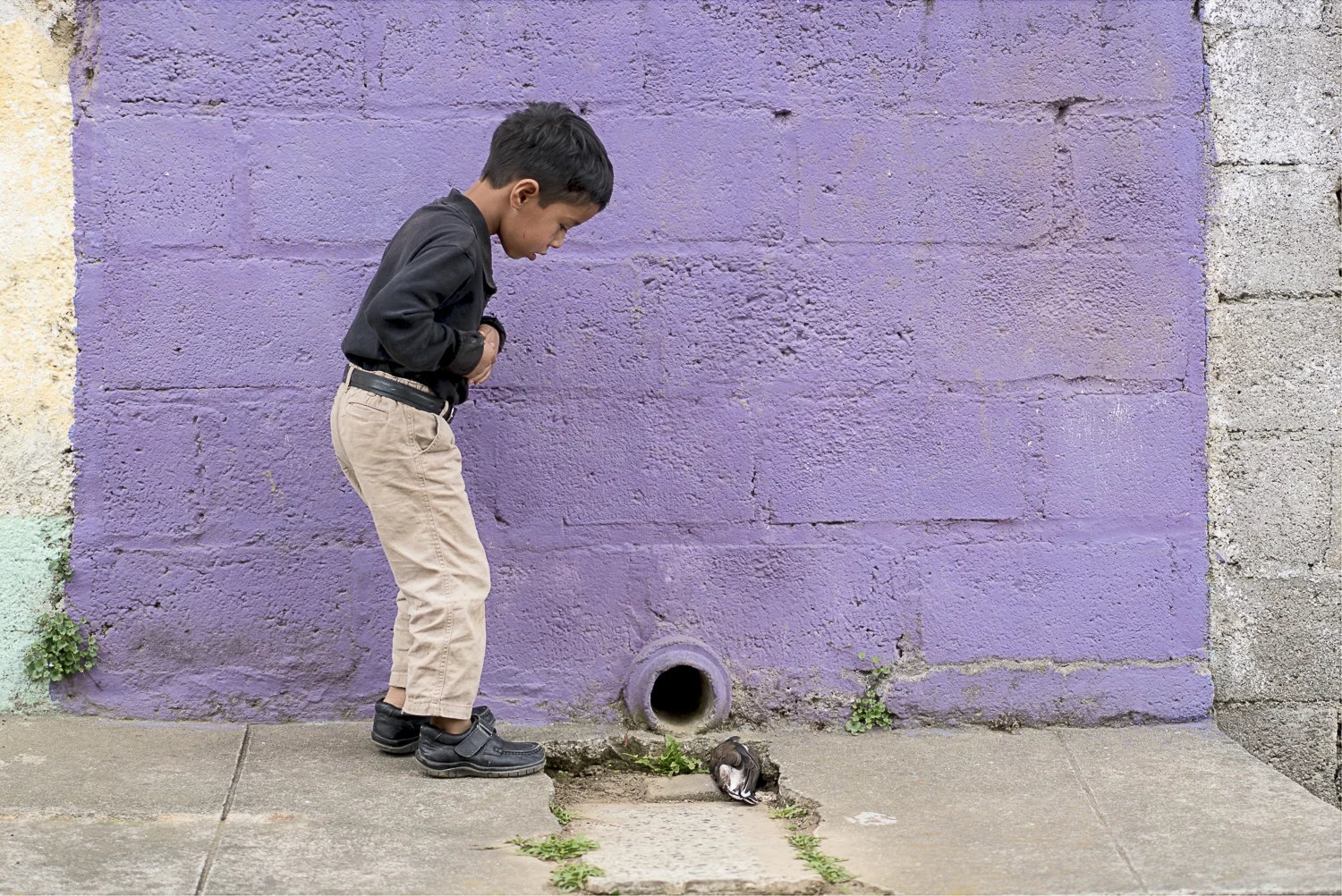 Boy with dead Bird DSC1659 17x22.jpg