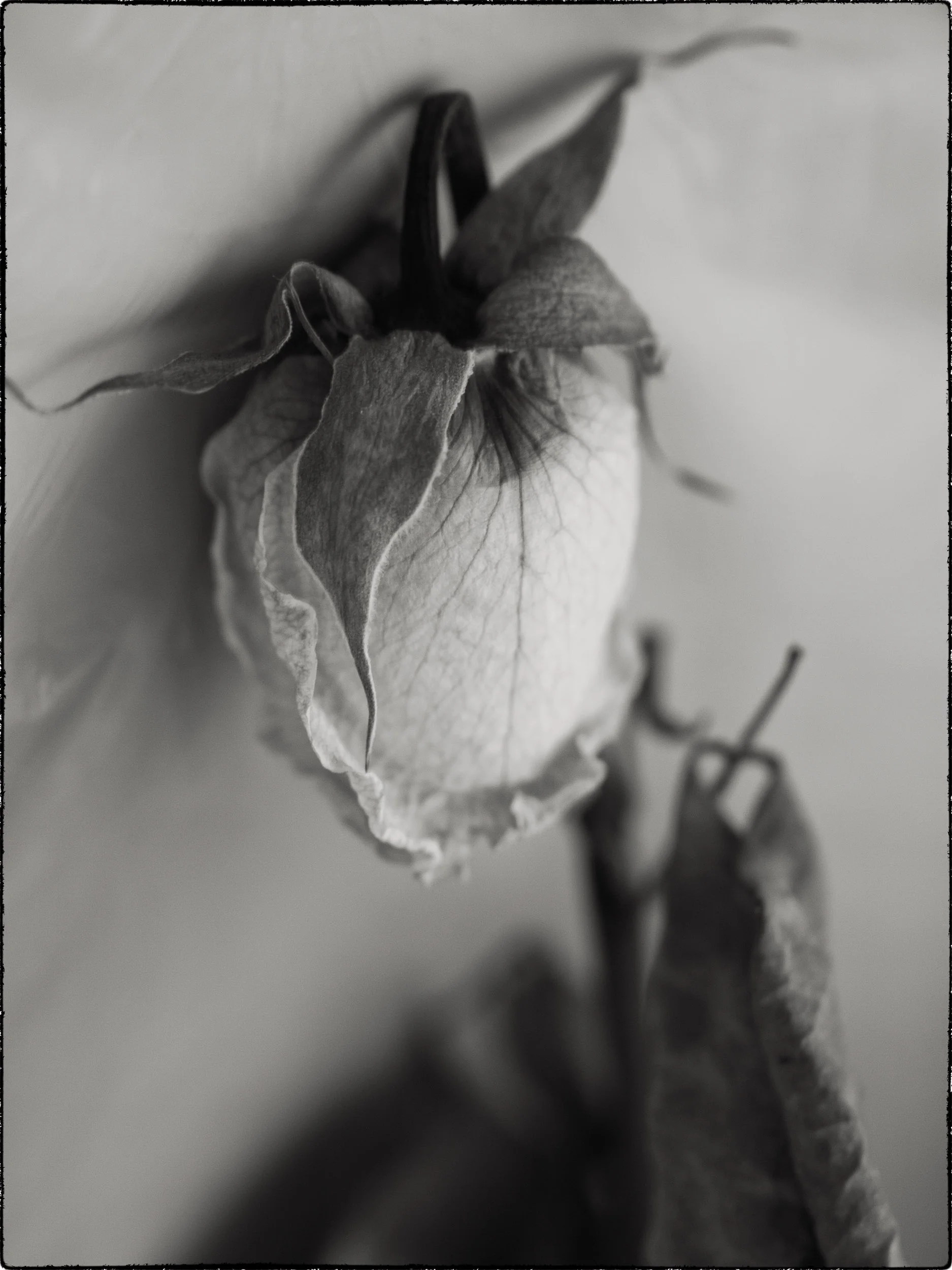 Square Space Nature-2.jpg
