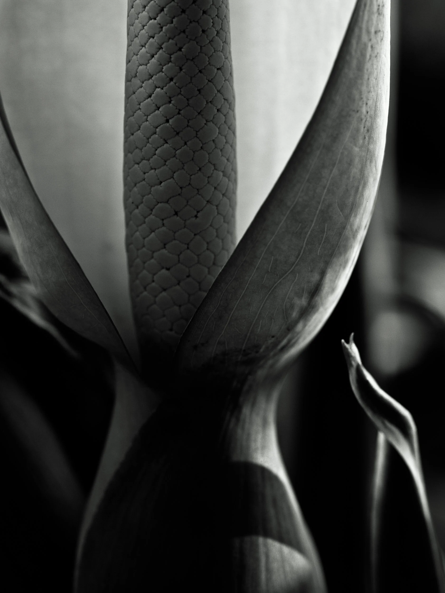 _5120944-Edit.jpg