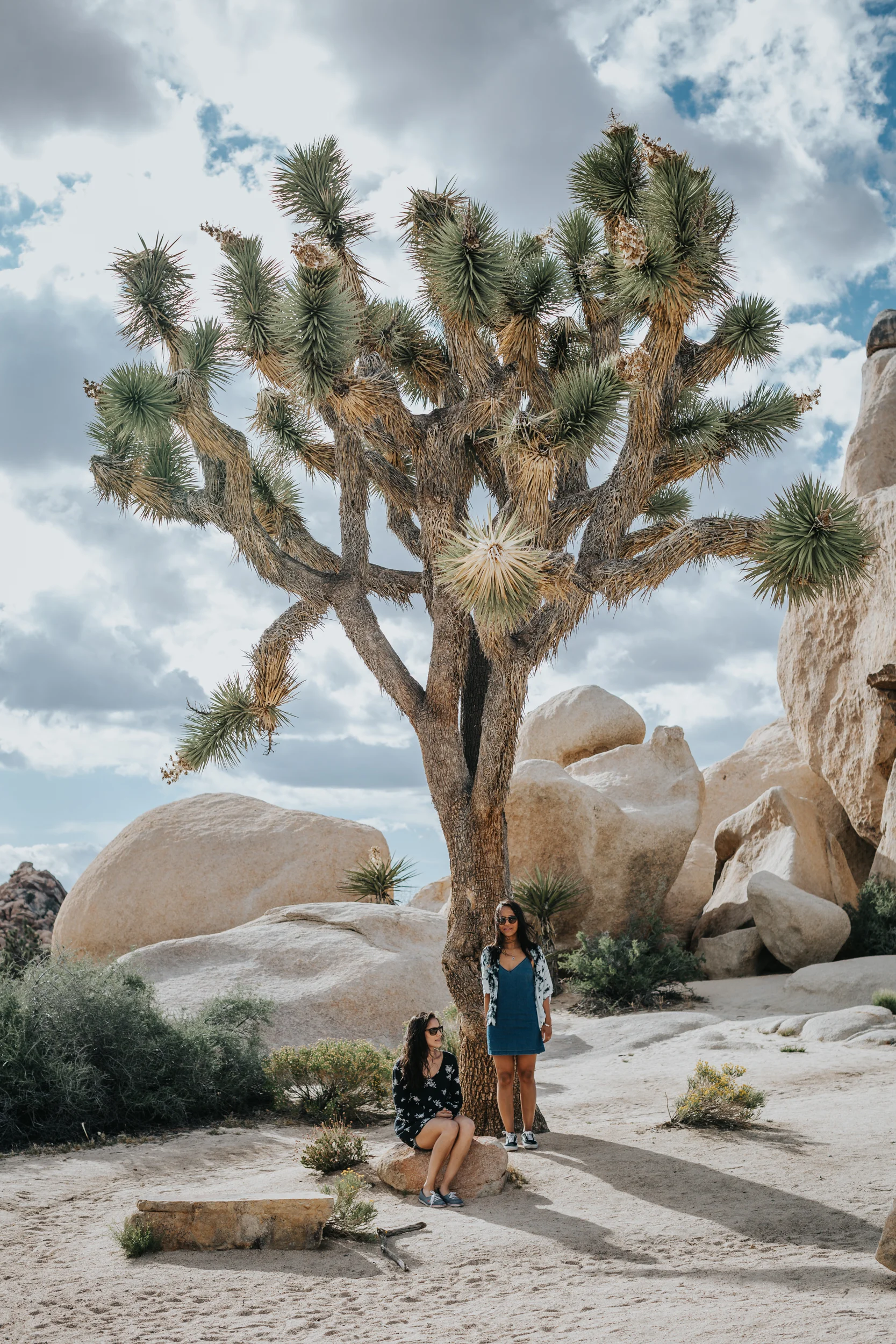 PalmSprings032.jpg