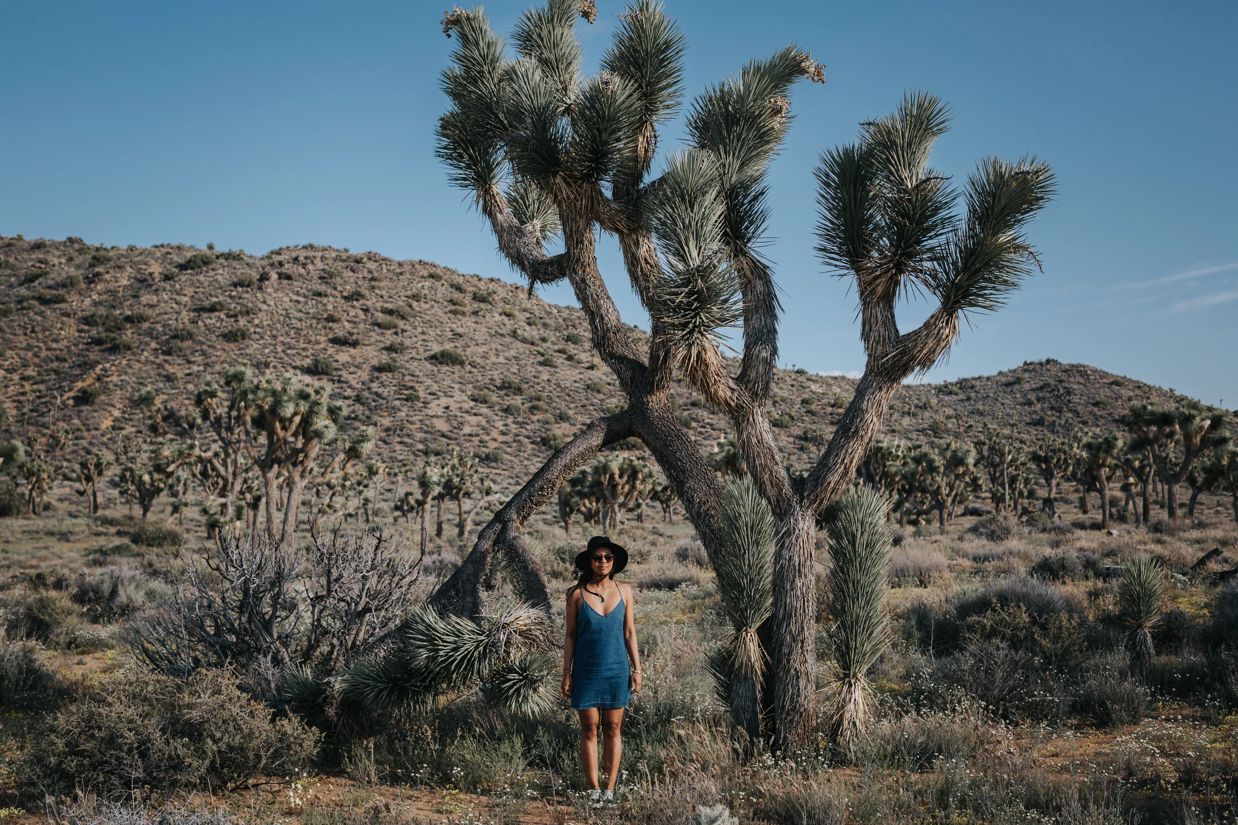 PalmSprings052.jpg