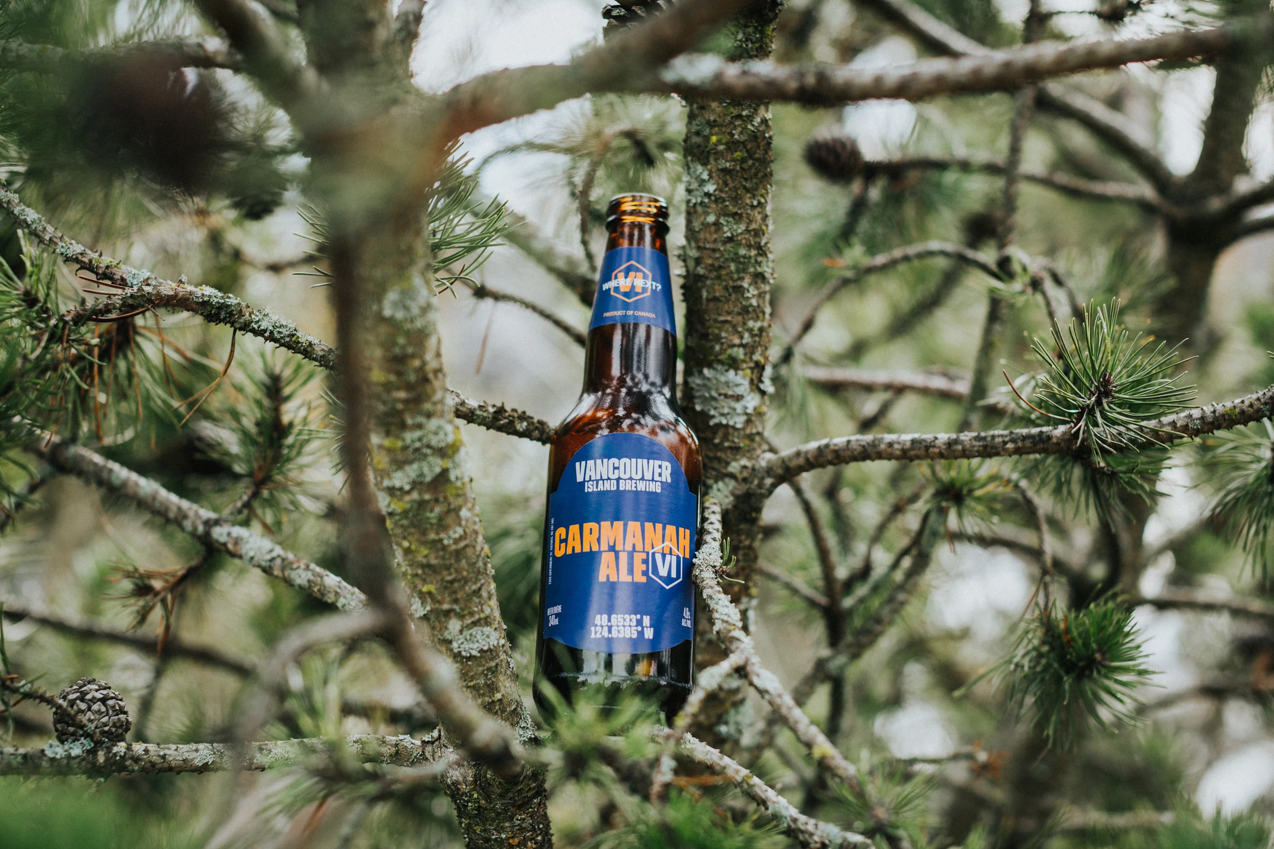 Growler_VIB0438.jpg