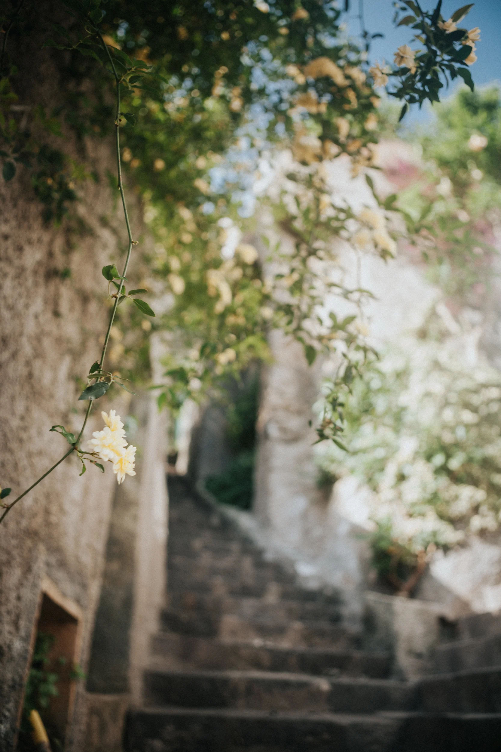 Italy+Paris2014_2103.jpg