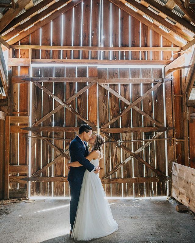 I have such a soft spot for old barn light ✨One of my first high school photoshoots happened in our old barn on the farm I grew up on. I just did the math on how long ago that was 😳 #barnlight #birdseyecovefarm #birdseyecovefarmwedding #cowichanvall