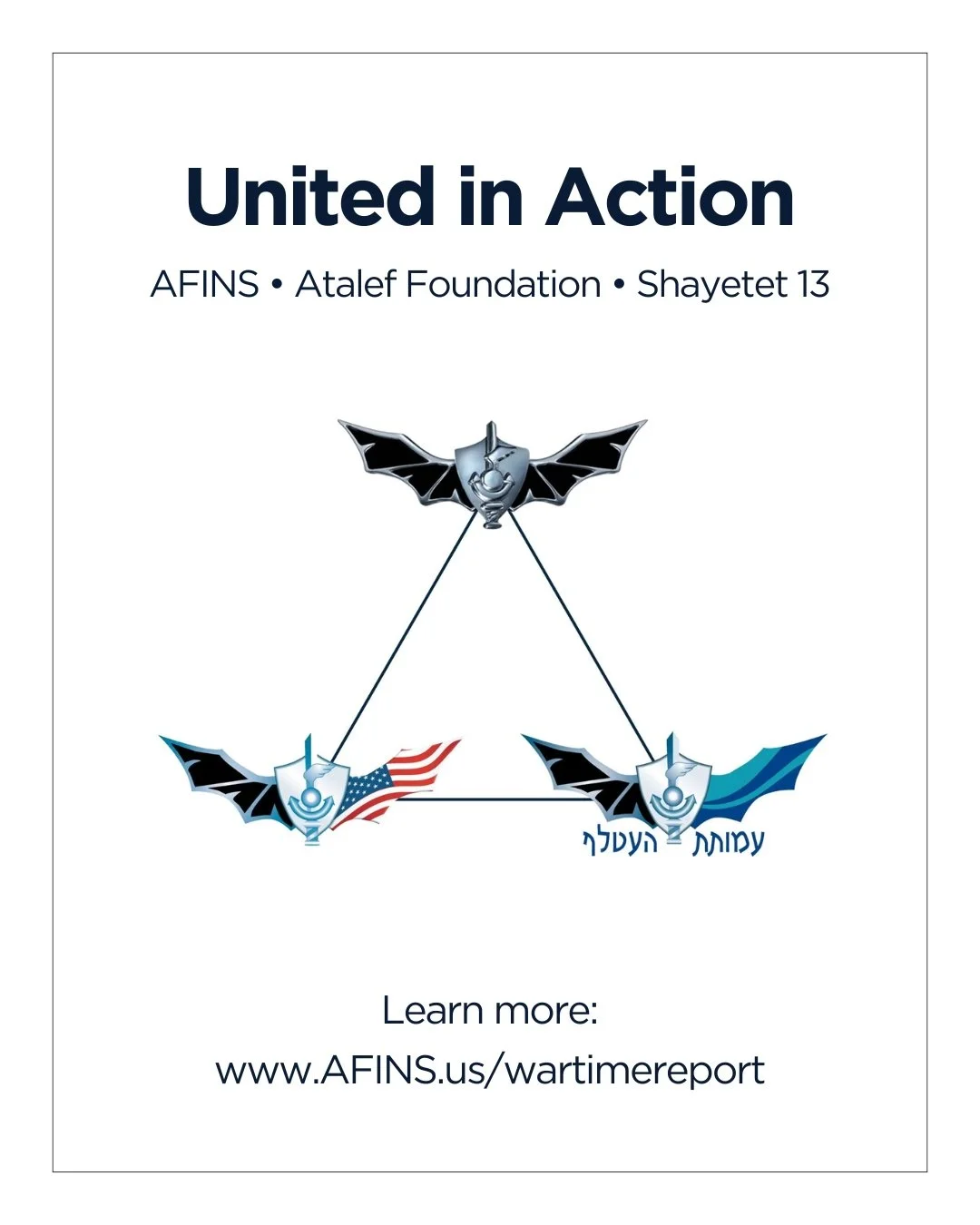 Board of Directors — AFINS