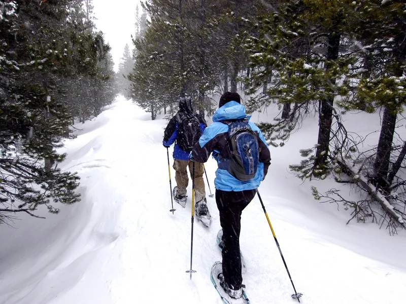 Snowshoeingonpinelinedtrail.jpg