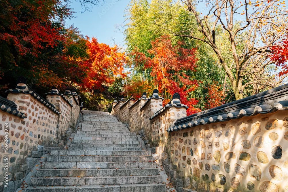 busan fall pic of starirs .jpeg