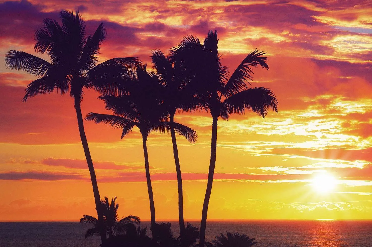 waikiki best sunsets pic CLEAR.jpeg