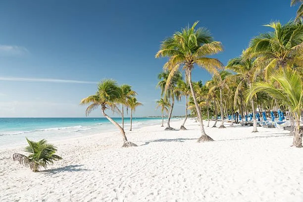 tulum beach photo.jpeg