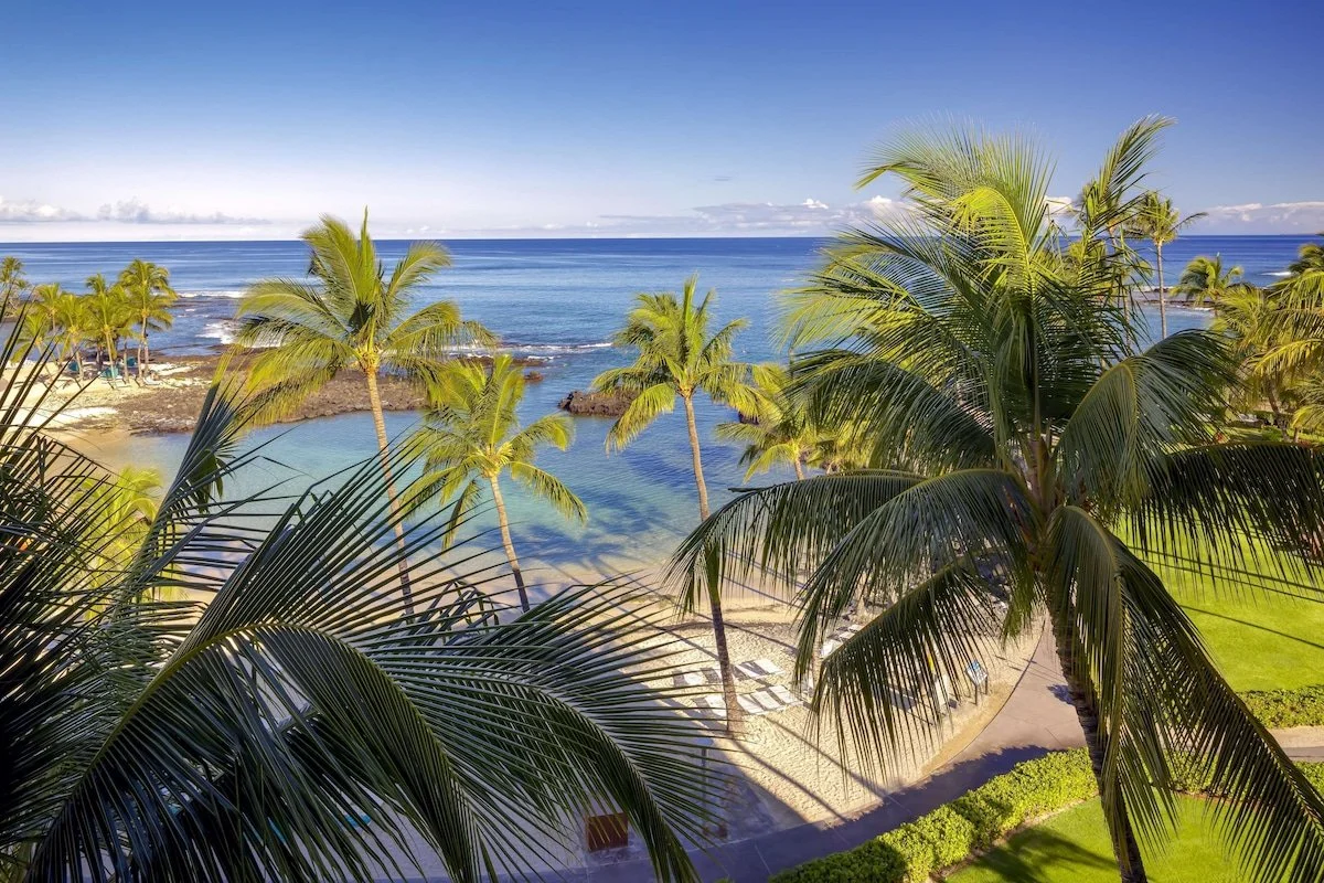 Big Island Fairmont Orchid Hotel - beach shot through palms.jpeg