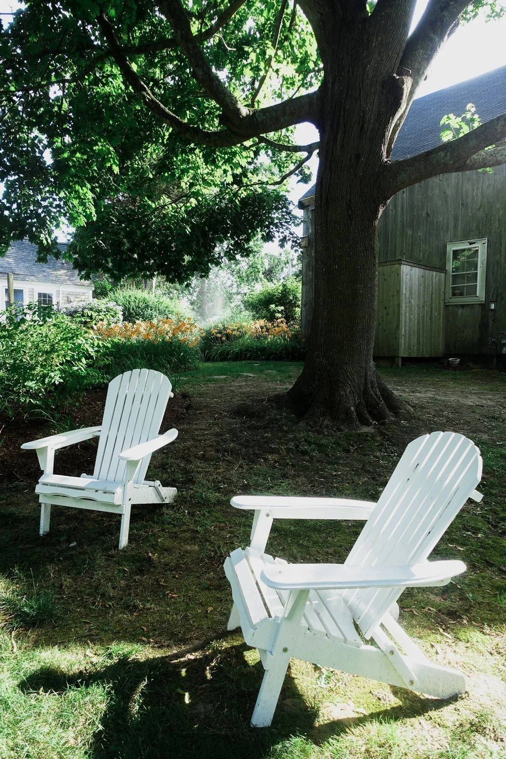 cape cod retreat - sea meadow inn - adirondack chairs shot .jpeg