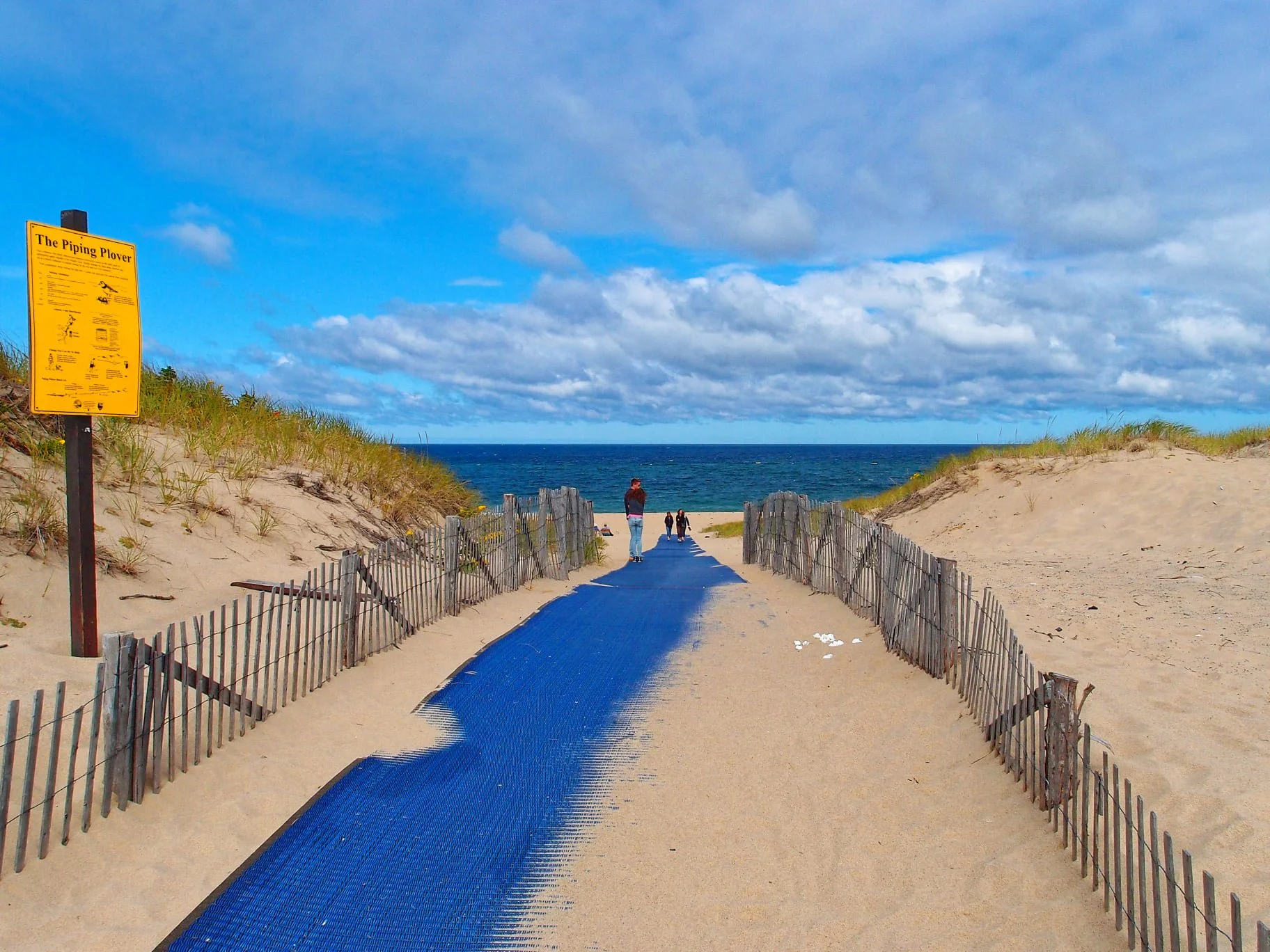 cape cod yoga retreat - beach bliff pic walkway to beach .jpeg
