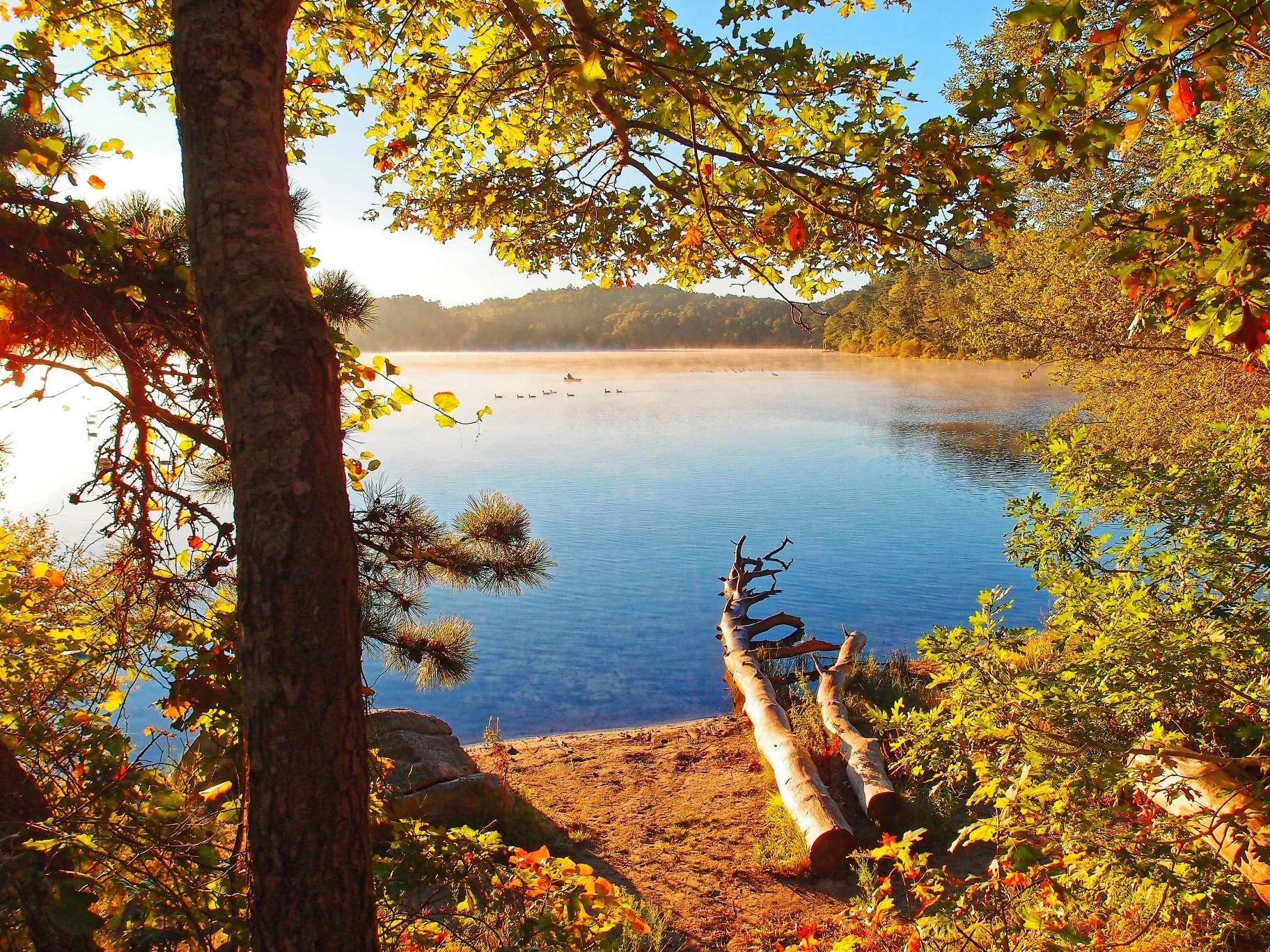 cape cod yoga retreat - fall lake pic .jpeg