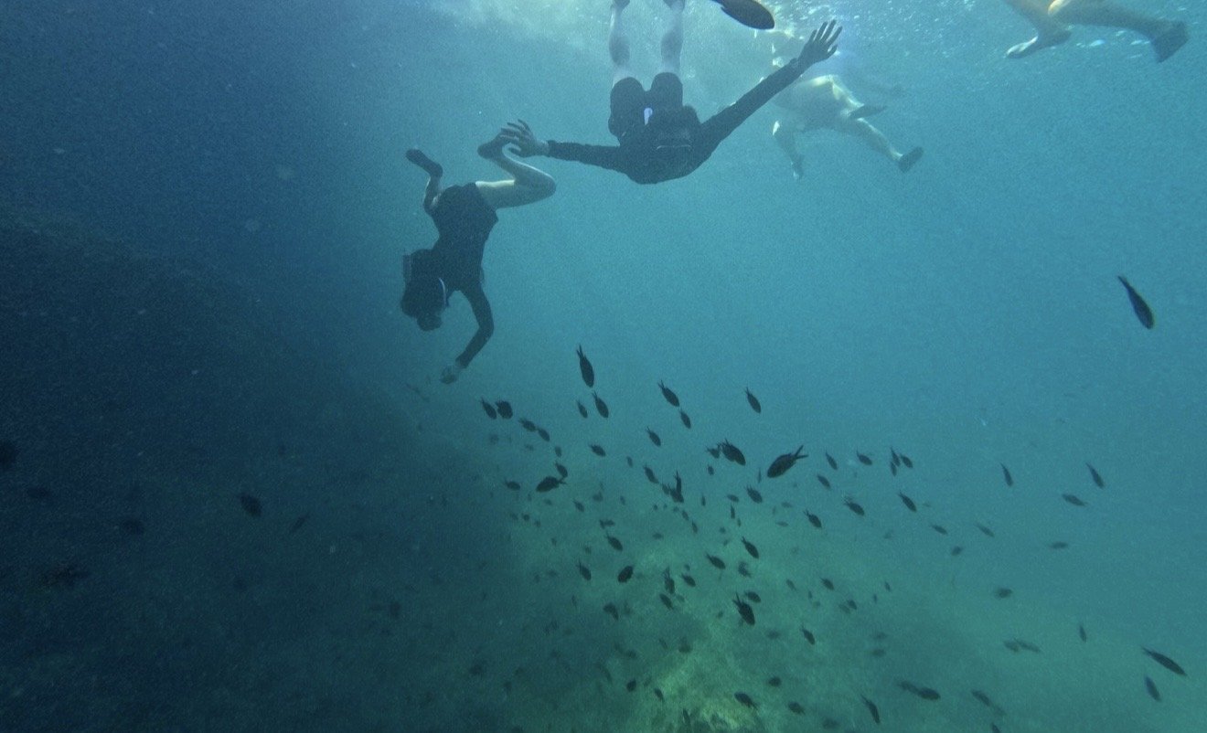 IMG-1637.jpg