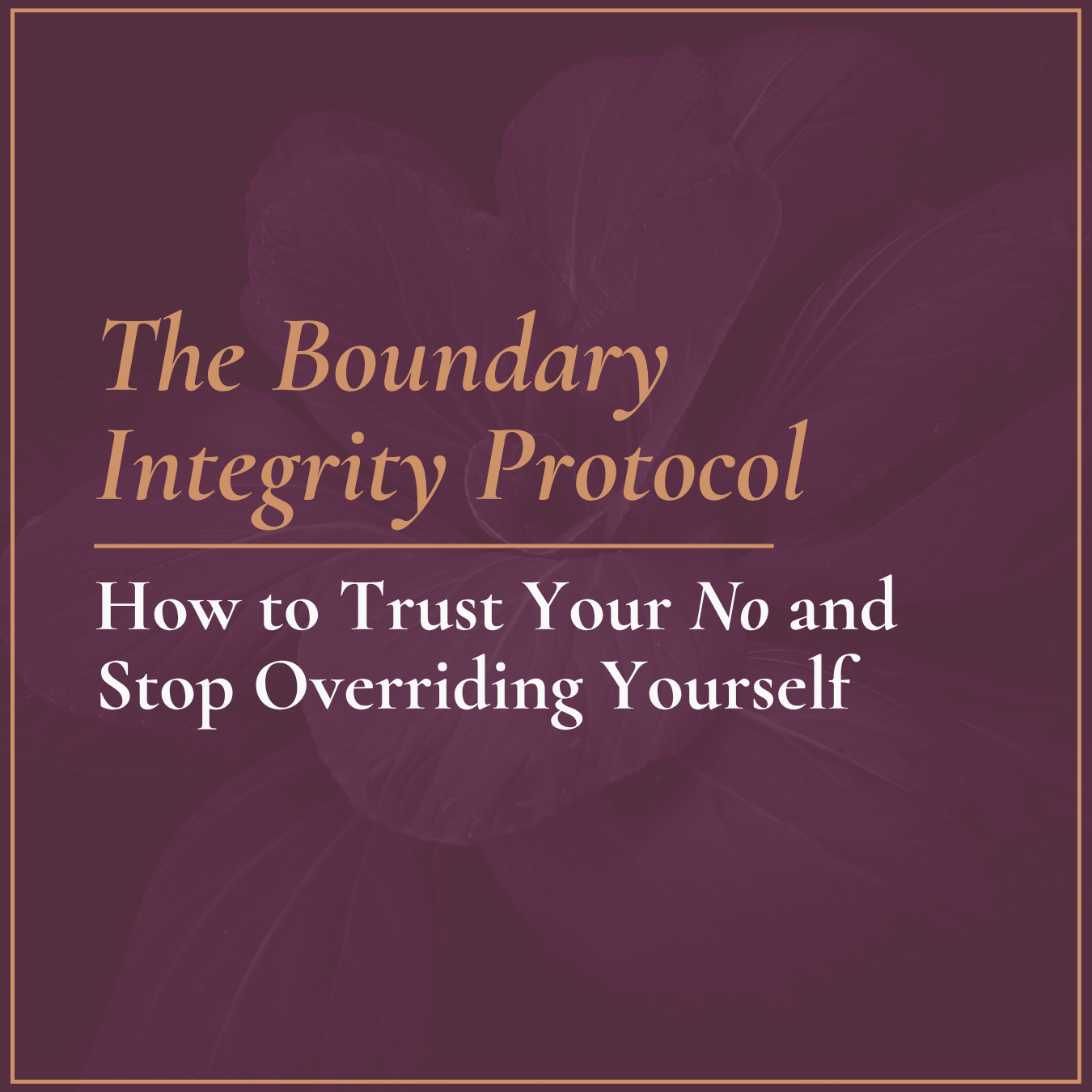 The Boundary Integrity Protocol