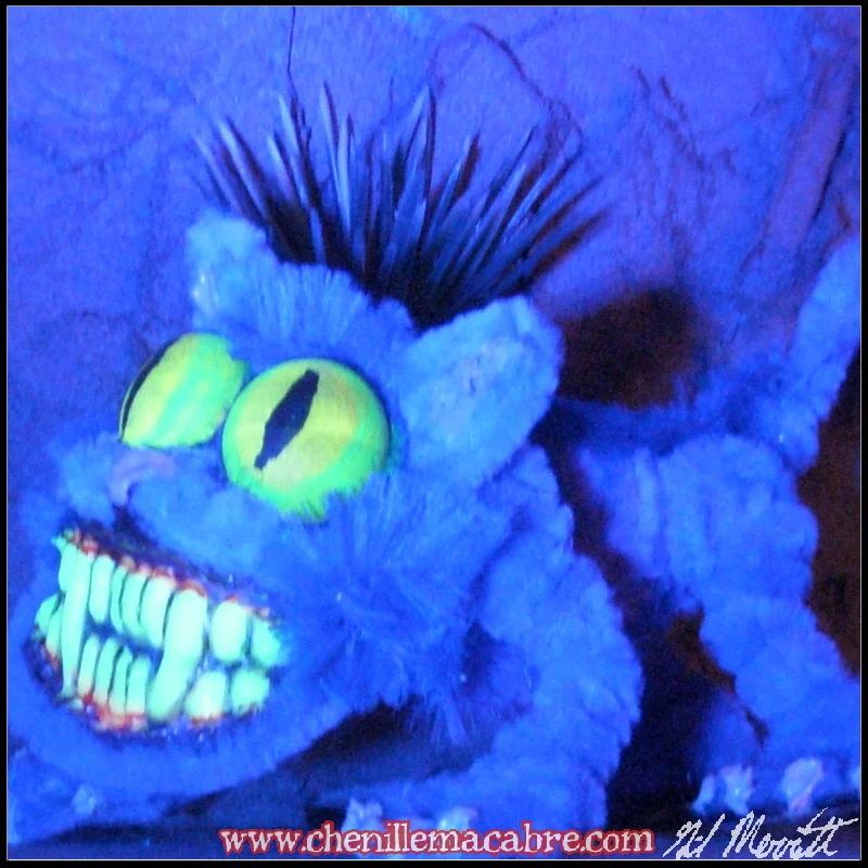 Cheshire Cat 2018c.JPG
