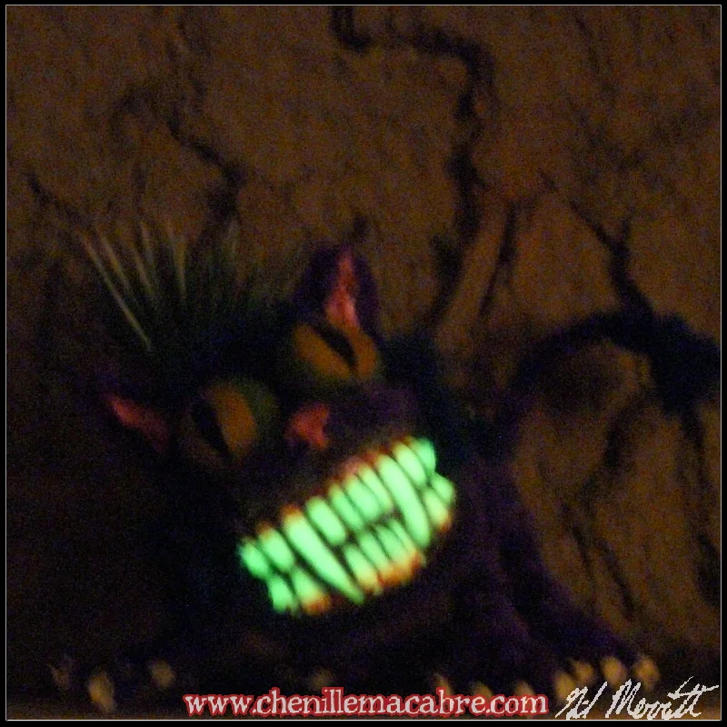 Cheshire Cat 2018d.JPG