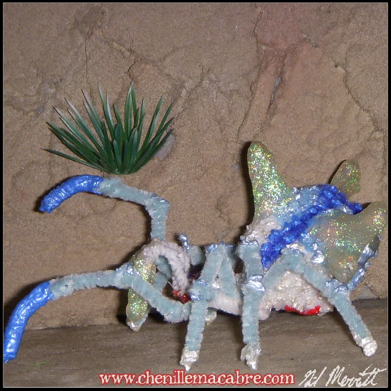 Frost Widow 2018d.JPG