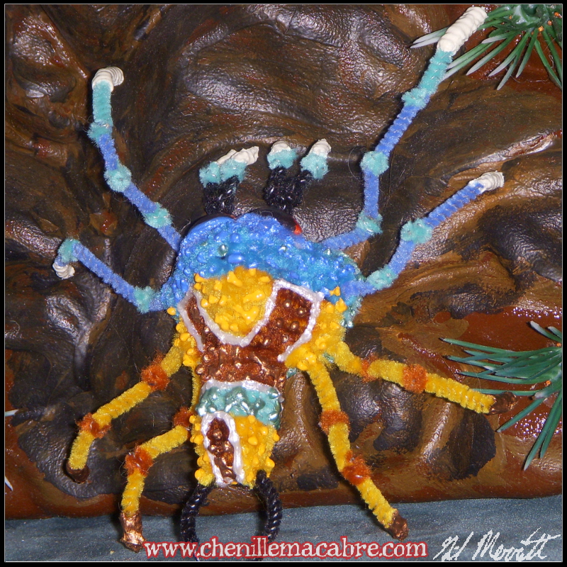 Turqouise Sun Spider 2018c.JPG