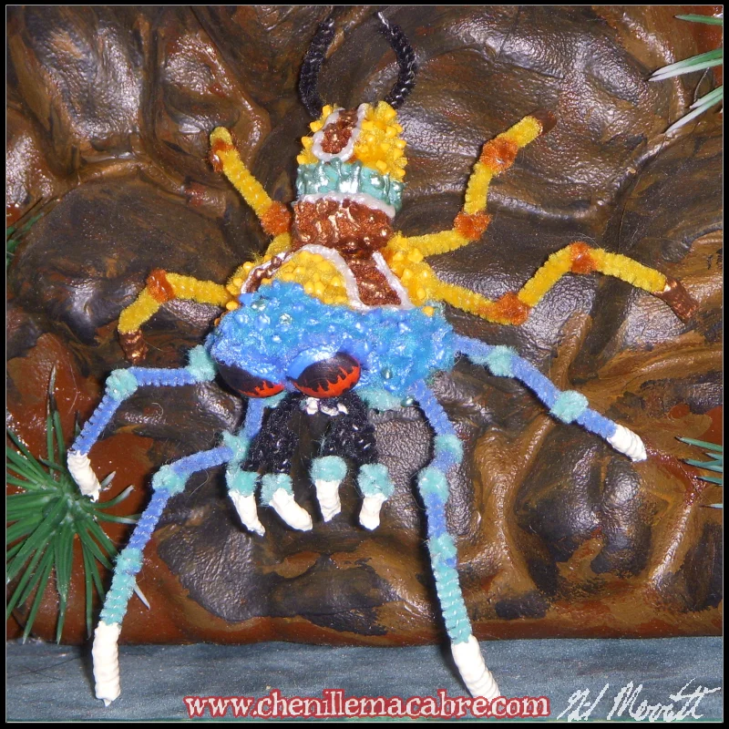 Turquoise Sun Spider 2018a.JPG
