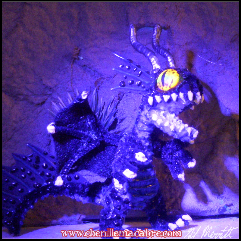 Midnight Blue 2018e.JPG